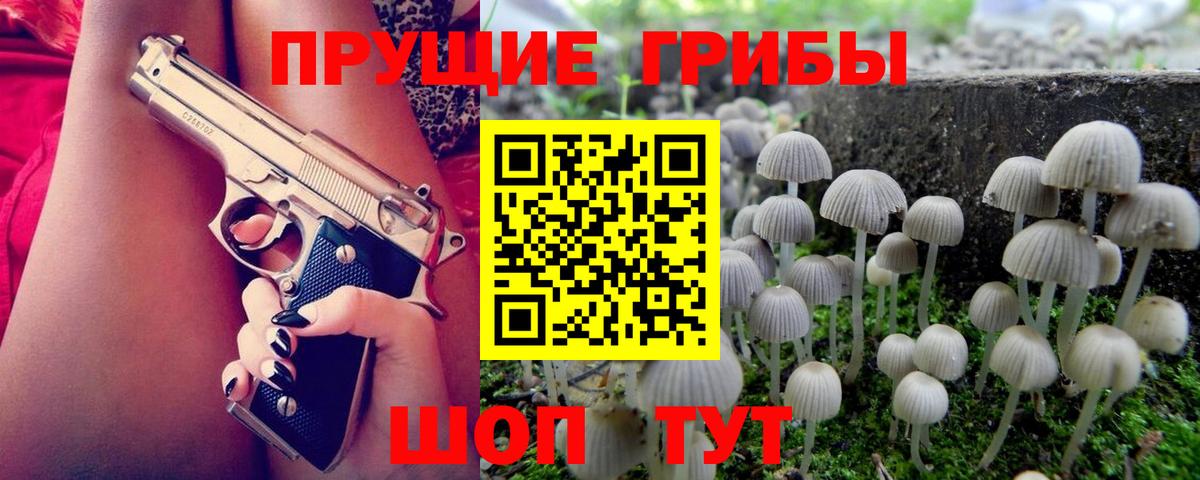 Галлюциногенные грибы Psilocybe  купить наркоту  Кинель  Вход с VPN 
